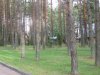 IMG_3067.jpg